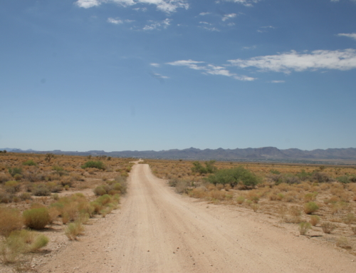 Mohave County Real Estate can be a long scary road