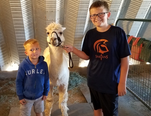 Living Like a Local in Mohave County – An A to Z Guide to Exploring Our Backyard: A